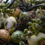 easter-eggs-1232929_1280 WP