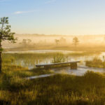 2219_Soomaa National park_Sven Zacek WP