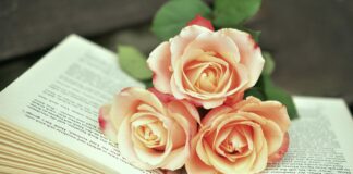 Stockholmi Eesti Majas esitletakse raamatut “Kaks muusat”